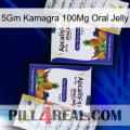 5Gm Kamagra 100Mg Oral Jelly 12